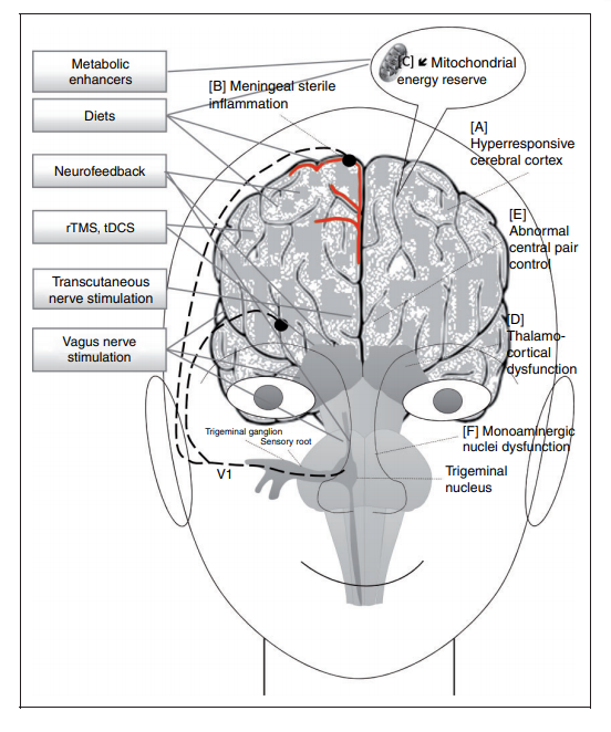 Coopola et al. 2015